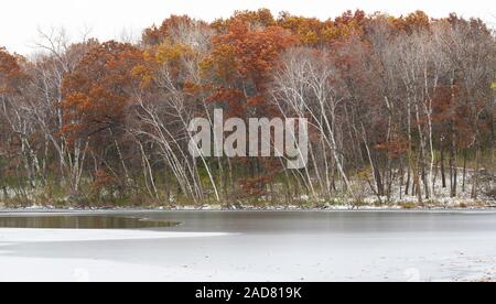 Première neige, paysage d'hiver, lac, Minnesota, USA, par Dominique Braud/Dembinsky Assoc Photo Banque D'Images
