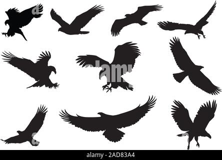 Flying Eagle vector silhouette Illustration de Vecteur