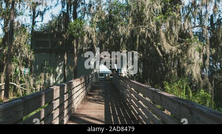 La promenade de la plage du lac Louisa State Park près d'Orlando, en Floride. Banque D'Images