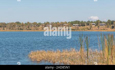 Le Lac Louisa State Park, Floride - Banque D'Images