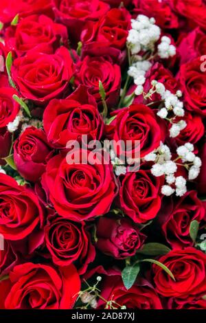 Bouquet de roses Banque D'Images