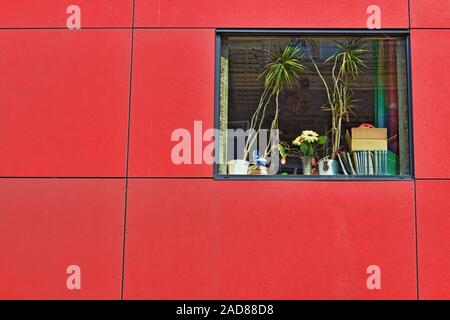 Fenêtre avec des fleurs Banque D'Images