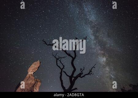 Ciel de nuit au-dessus d'Arches National Park, États-Unis Banque D'Images