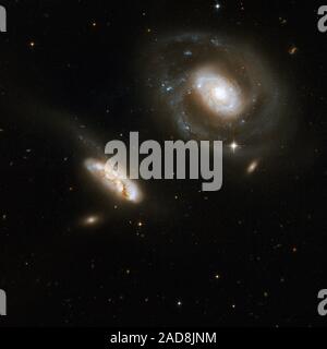 C'est une superbe paire de galaxies en interaction, le Seyfert 1 spirale barrée galaxie NGC 7469 (Arp 298, 1514), un ti source infrarouge lumineux avec un puissant profondément enfoncée dans sa starburst région circumnuclear, et son petit compagnon de IC 5283. Ce système est situé à environ 200 millions d'années-lumière de la terre dans la constellation de Pégase, le cheval ailé. Cette image fait partie d'une grande collection de 59 images de fusion de galaxies prises par le télescope spatial Hubble et publiée à l'occasion de son 18e anniversaire le 24 avril 2008. Noms des objets : NGC 7469, le SAQ J2303 +0852, Arp Banque D'Images