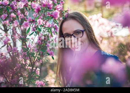 Maralnik en fleurs rhododendron en montagnes de l'Altaï Banque D'Images