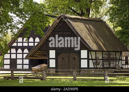 Musées Hof, les agriculteurs Homestead, musée en plein air, Rhaden, Nordrhein-Westfalen, Germany, Europe Banque D'Images