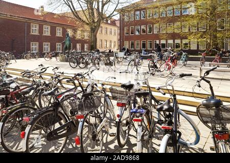 Nombreux vélos stationnés dans la ville, Muenster, Germany, Europe Banque D'Images