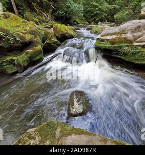 Rapids appelé Irreler Wasserfaelle sud de l'Eifel Park, Irrel, Eifel, Allemagne, Europe Banque D'Images