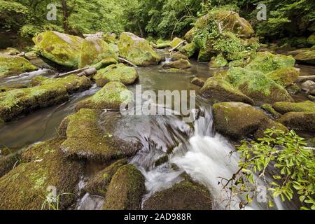 Rapids appelé Irreler Wasserfaelle sud de l'Eifel Park, Irrel, Eifel, Allemagne, Europe Banque D'Images