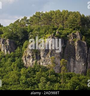 Gerolsteiner Dolomiten, un calcaire dévonien reef, Drees, Rhénanie-Palatinat, Allemagne, Europe Banque D'Images