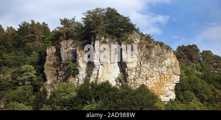 Gerolsteiner Dolomiten, un calcaire dévonien reef, Drees, Rhénanie-Palatinat, Allemagne, Europe Banque D'Images