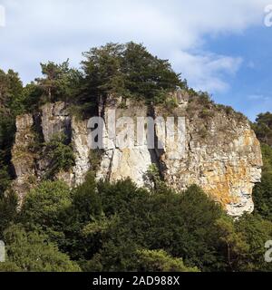 Gerolsteiner Dolomiten, un calcaire dévonien reef, Drees, Rhénanie-Palatinat, Allemagne, Europe Banque D'Images