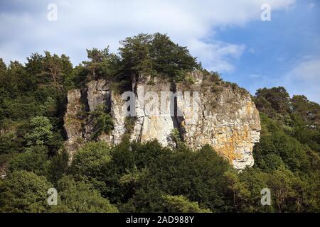 Gerolsteiner Dolomiten, un calcaire dévonien reef, Drees, Rhénanie-Palatinat, Allemagne, Europe Banque D'Images