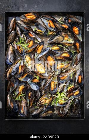 Barbecue traditionnel italien moule bleue avec le romarin dans un vin blanc comme vue d'en haut sur un plateau Banque D'Images