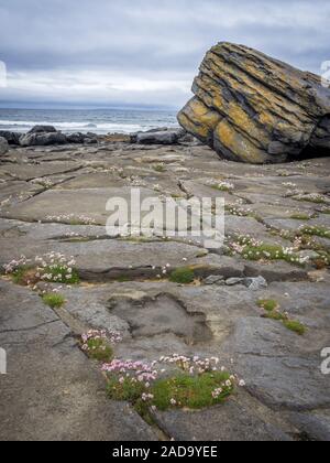 Roche massive sur la côte de l'Irlande Fanore beach Banque D'Images