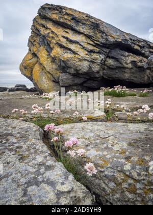 Roche massive sur la côte de l'Irlande Fanore beach Banque D'Images