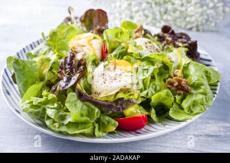 Germen traditionnels de l'été avec laitue laitue gondolé Banque D'Images