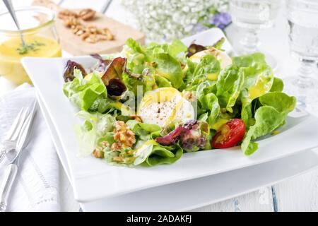 Germen traditionnels de l'été avec laitue laitue gondolé Banque D'Images