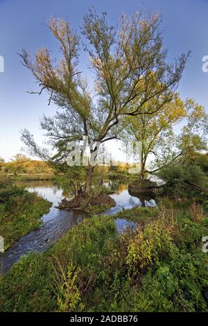 Rivière Elbsche bouche dans la Ruhr, près de Wengern, Wetter, Ruhr, Allemagne, Europe Banque D'Images