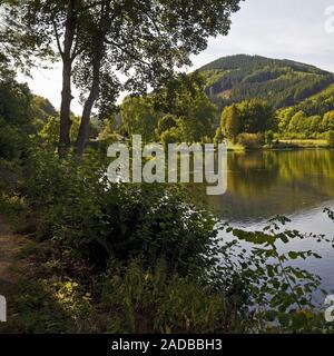 Stockage de la Ruhr, lac, Olsberg Sauerland, Nordrhein-Westfalen, Germany, Europe Banque D'Images