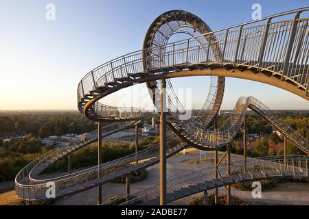 Tiger et Turtle - Magic Mountain, art sculpture et monument, Angerpark, Duisburg, Allemagne, Europe Banque D'Images