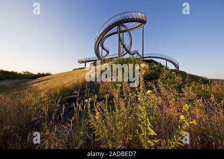 Tiger et Turtle - Magic Mountain, art sculpture et monument, Angerpark, Duisburg, Allemagne, Europe Banque D'Images