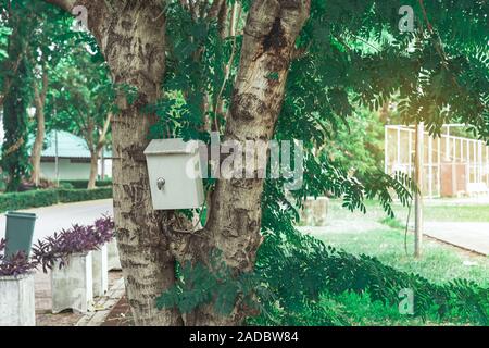 Le contrôle de l'alimentation électrique Old rusty fort sur l'arbre dans le parc public. Banque D'Images