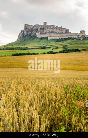 Le château de Spis - Spissky Hrad Monument culturel national (UNESCO) - château de Spis - l'un des plus grand château d'Europe centrale (Slovaquie). Banque D'Images