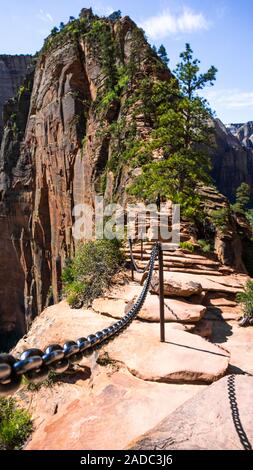 Haut de l'Angels Landing dans le Zion National Park, Utah, USA Banque D'Images