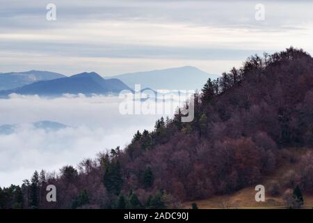 Vue d'automne de la pente et le brouillard dans la vallée ci-dessous par temps couvert. L'environnement, l'écologie, des changements climatiques et météorologiques des concepts. Banque D'Images