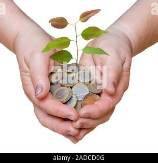 Palms avec un jeune arbre passant de tas de pièces de monnaie Banque D'Images