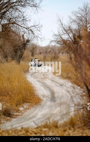 (191204) -- URUMQI , le 4 décembre 2019 (Xinhua) -- la famille Imin sont en route vers le domaine de réinstallation pour Darya Boyi en ville Comté Yutian, nord-ouest de la Chine, la Région autonome du Xinjiang Uygur, Novembre 18, 2019. Avant de passer à la nouvelle colonie le 17 novembre et le 18 novembre de cette année, la maison d'Imin berger était au coeur de l'Désert Taklimakan, le deuxième plus grand désert de sable dans le monde. Pour des centaines d'années, les ancêtres d'Imin ont installés le long de la rivière Keriya, qui coule du sud au nord jusqu'au cœur de dunes de sable sans fin, en plus comme des doigts et en fournissant la source o Banque D'Images