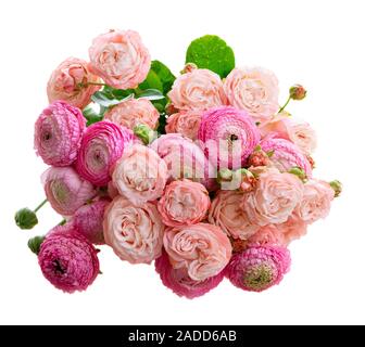 Fleurs roses frais Banque D'Images