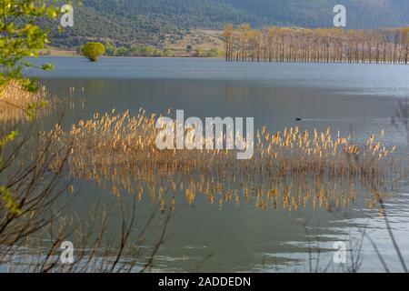 Lac Stymphalia, Grèce Banque D'Images