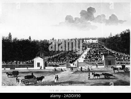 Vue du jardin du roi : le jardin des plantes a Paris - gravure par Courvoisier, 1827 Banque D'Images