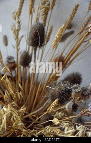 Arrangement séché, électrique's Yard, Cambridge, Angleterre Banque D'Images