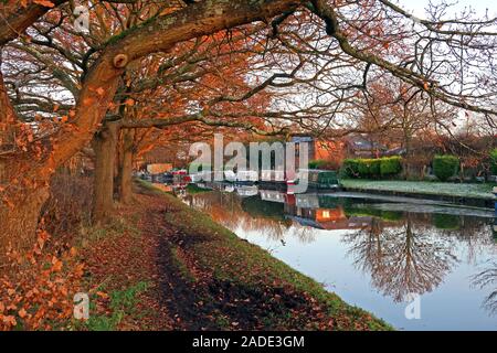 Massey Brook à l'automne, chemin de halage du canal Bridgewater, entre les villages de Thelwall et Lymm, Warrington, Cheshire, Angleterre, Royaume-Uni Banque D'Images