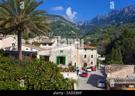 Orangenbäume beim Dorf Fornalutx, Serra de Tramuntana, à Majorque, Baléares, Espagne | orangers à village Fornalutx, Serra de Tramuntana, à Majorque, Banque D'Images