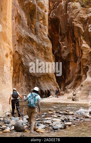 ZION NATIONAL PARK, Utah, USA - Le 23 mai 2012. Les femmes les randonneurs trek d'une gorge étroite dans les Narrows, Zion National Park, Utah Banque D'Images