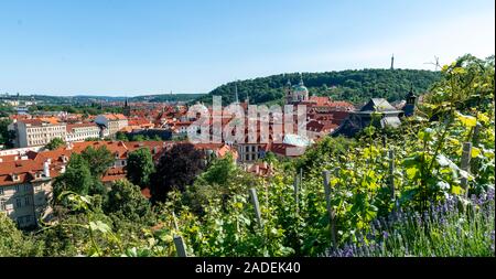 Vue du Hradschin sur le vignoble de la ville avec l'église Saint-Nicolas de Malá Strana, Prague, Prague, République Tchèque Banque D'Images