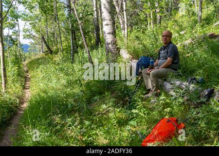 Un randonneur solitaire assis sur un journal, bénéficiant d'un repos et d'un snack sur un sentier de montagne, entouré d'arbres et de graminées. Banque D'Images