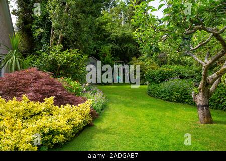 Vue sur jardin en pente avec des plantes herbacées des frontières. Doté d''Euonymus fortunei 'Emerald 'n' Gold' et Acer palmatum 'Dissectum Atropurpureum' Banque D'Images