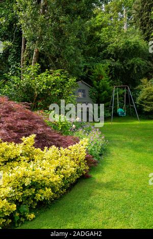 Vue sur jardin en pente avec des plantes herbacées des frontières. Doté d''Euonymus fortunei 'Emerald 'n' Gold' et Acer palmatum 'Dissectum Atropurpureum' Banque D'Images