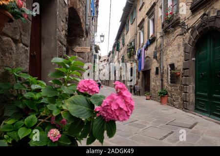 Les étroites rues du centre médiéval et l'architecture maison d'Abbadia San Salvatore à Monte Amiata,Toscane Italie EU Banque D'Images