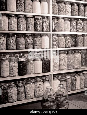 1930 GARDE-MANGER MUR DE RÉCOLTÉS ET LES CONSERVES DE LÉGUMES ET DE FRUITS POIS HARICOTS PICKLES Pêches Poires LIMAS - f5003 HAR001 HARS PANTRY POIRES PRÉSERVE LA VIE ENCORE CONCEPTUEL LIMAS diverses matières contenants bocaux scellés TRANSFORMÉS FRUITS CORNICHONS HAR001 NOIR ET BLANC à l'ancienne récolte préservée Banque D'Images