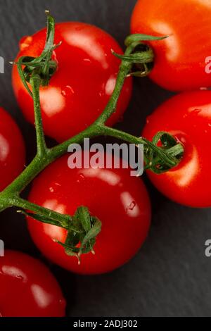Vue de dessus de branche verte et tomates cerises rouges sur elle Banque D'Images