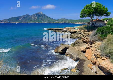 Vue sur l'île de Sa Dragonera, réserve naturelle près de la côte de San Telmo, Majorque, îles Baléares, Espagne Banque D'Images