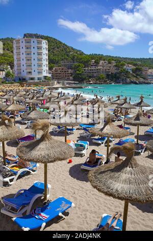 Plage de baignade à l'hôtel Aquamarin, Sant Elm, San Telmo, Majorque, îles Baléares, Espagne Banque D'Images