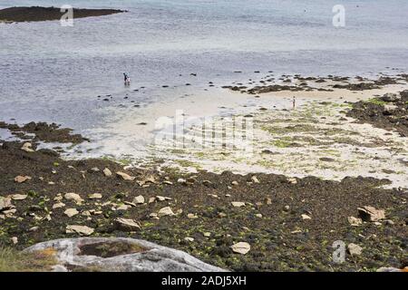 Plage à marée basse en Bretagne avec du sable, des pierres et des algues, les gens marcher dans l'eau, des vacances d'impression Banque D'Images