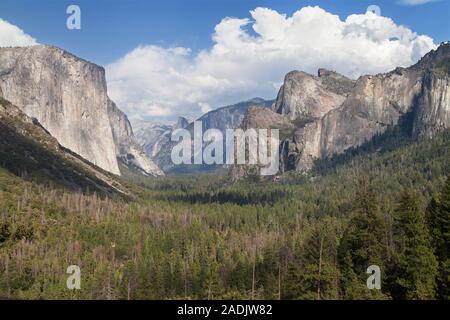 La Vallée Yosemite de vue de Tunnel, Yosemite National Park, California, USA. Banque D'Images